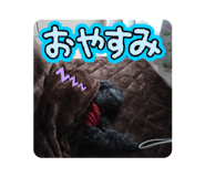 847341730