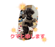847341740
