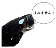 847341807