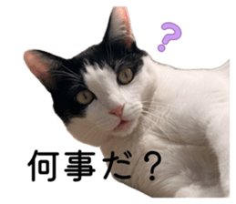 847344105