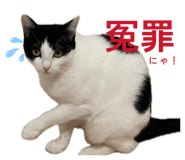 847344108