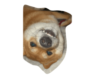 847344137