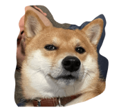 847344138