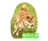 847344141