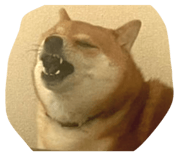 847344144