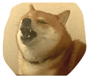 847344144