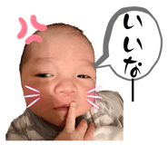 847344205
