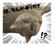 847344225