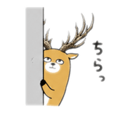 847344262