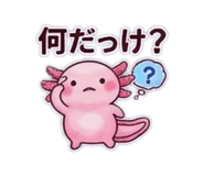 847344333