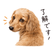847344610