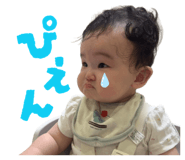 847346815