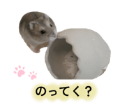 847359234