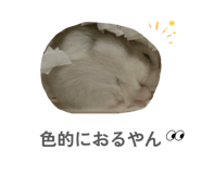 847359256