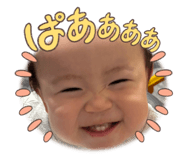 847360066