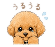 847360281