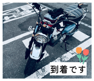 847366901