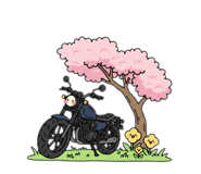 847366936