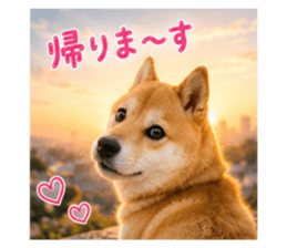 847367258