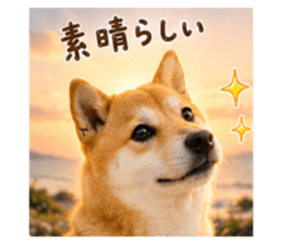 847367259