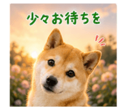 847367260