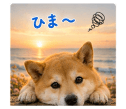 847367261
