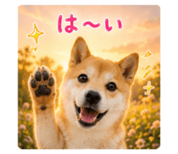 847367262