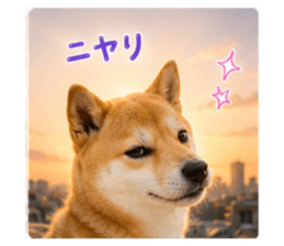 847367263