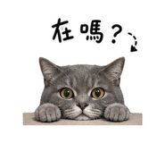 847368200