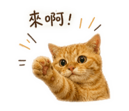 847368262
