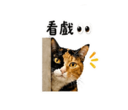 847368906