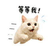 847368910
