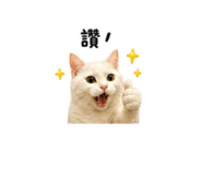 847368912
