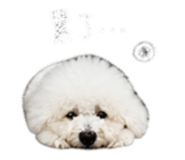 847369006