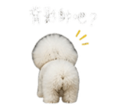 847369012