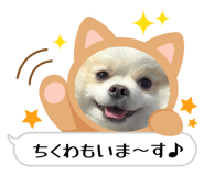 847369268