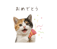 847369400
