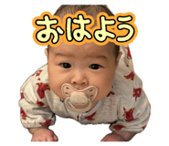 847369545