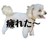 847369573