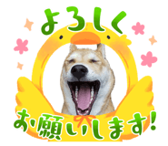 847369698