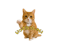 847369873