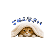 847369881