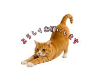 847369884