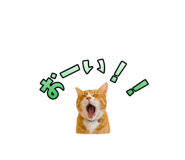 847369887