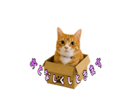 847369888