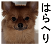 847370230
