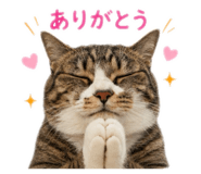 847370416
