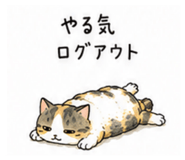 847370605