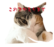 847370825