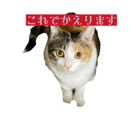 847370826